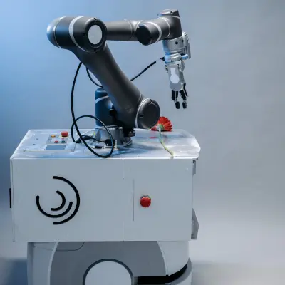 Industrial Robot Automation