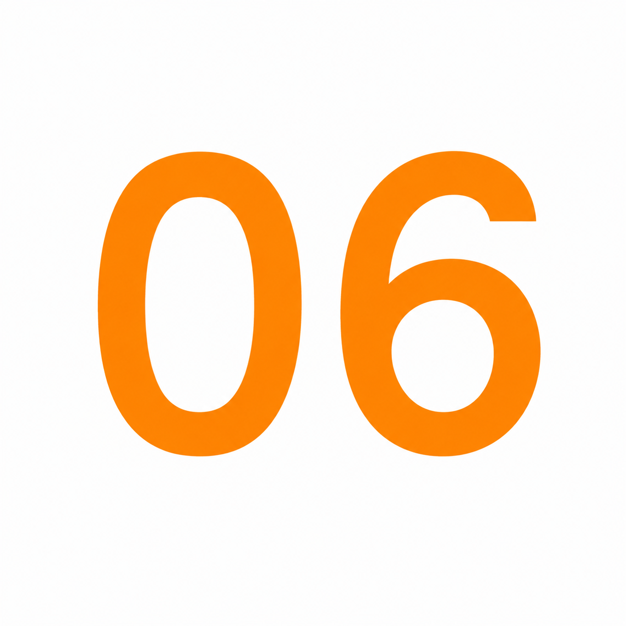 06